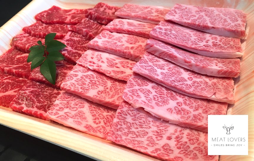 家庭用　阿波黒牛焼き肉セット10人前　2000g
