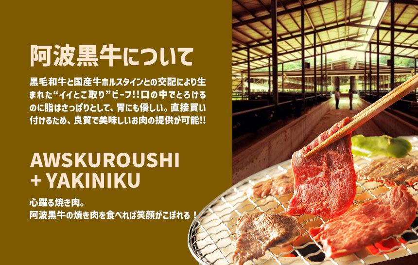 ☆希少部位☆　贈答用　阿波黒牛焼き肉セット　梅　600g